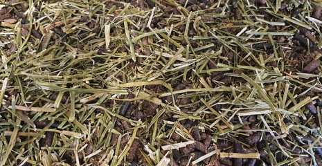 D'Hooghe Vital Fibre Grainfree 15 Kg