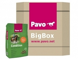 Pavo BB Condition 725kg