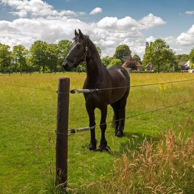Gallagher EquiFence Permanentkabel terra 7,5mm - 20kg - 250m 