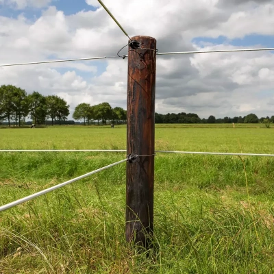 Gallagher EquiFence Permanentkabel wit 7,5mm - 20kg - 250m 