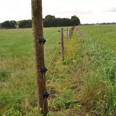 Gallagher W-isolator zwart (25)