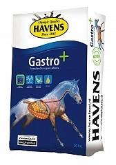 Havens Gastro+ 20kg